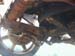 DSCN0175